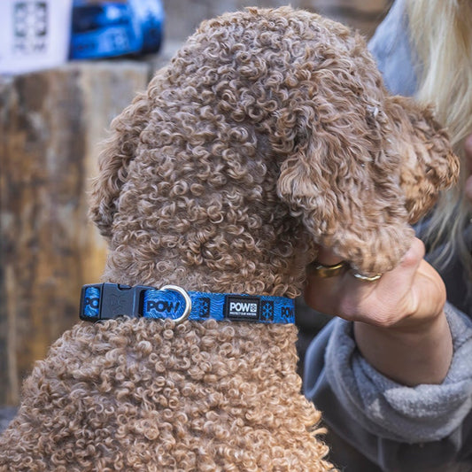 POW Pet Collar